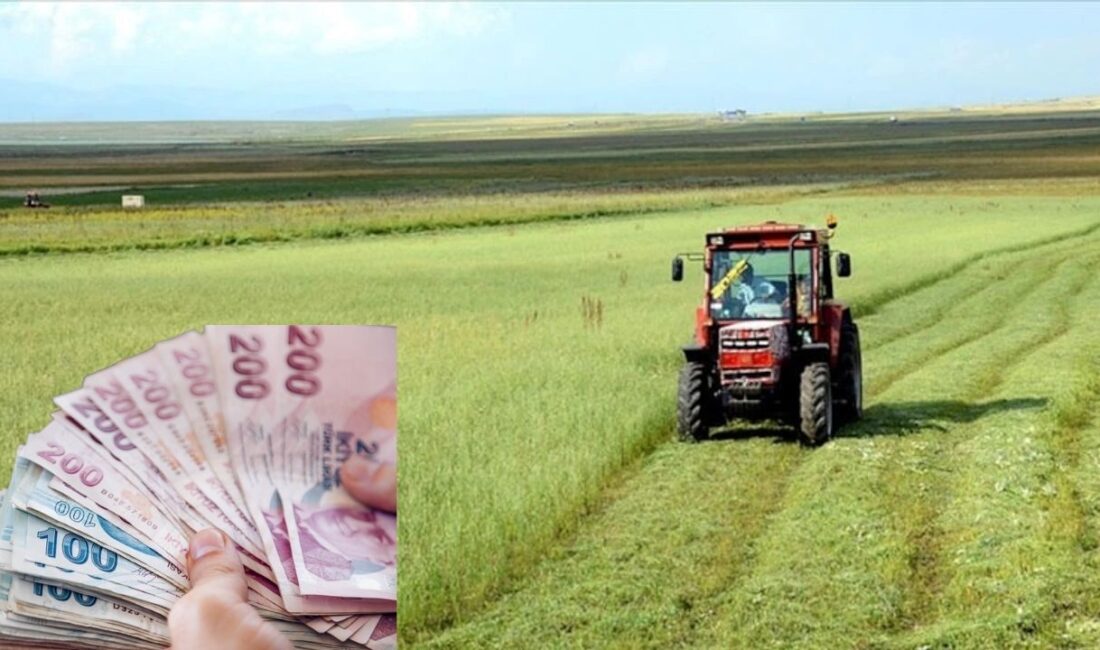 Tarım ve Orman Bakanlığı şeker pancarı alım fiyatını artırdı. 125