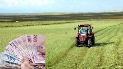 Tarım ve Orman Bakanlığı şeker pancarı alım fiyatını artırdı. 125